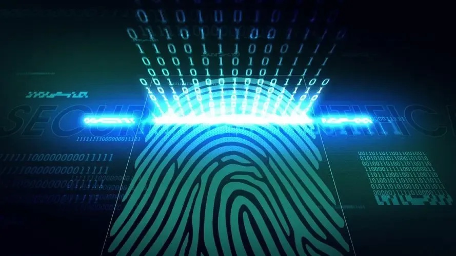 browser fingerprint